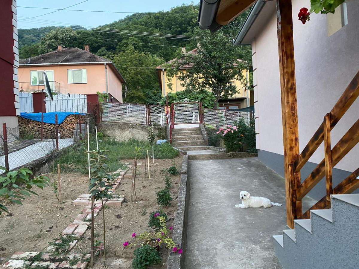 Smestaj Zeka Tekija Tekija  Exteriör bild